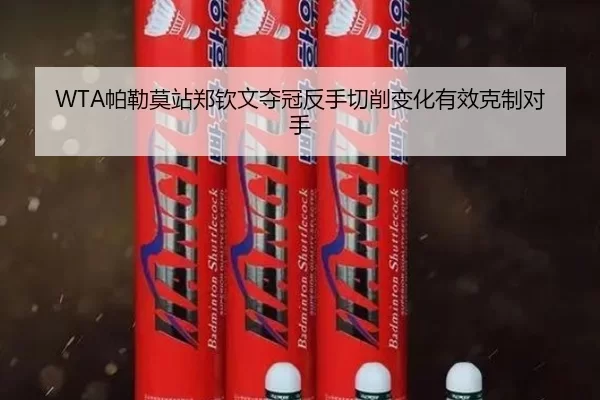 WTA帕勒莫站郑钦文夺冠反手切削变化有效克制对手